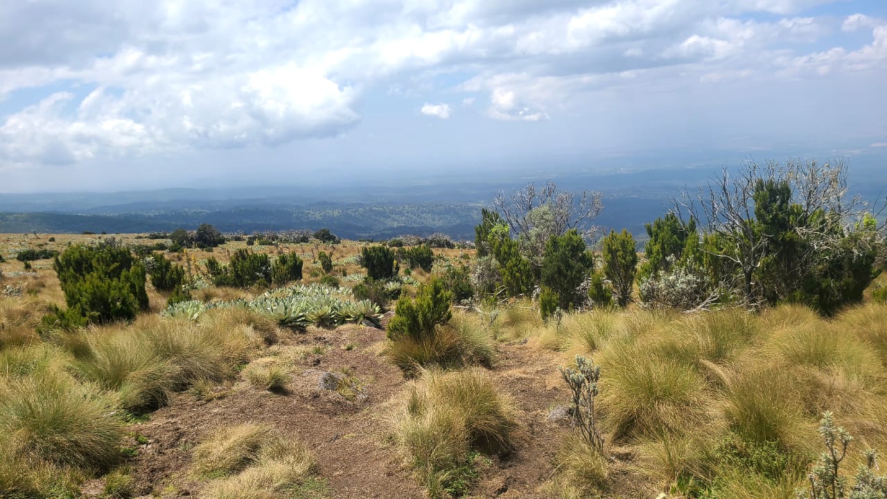 Trekking group ascending the Sirimon route on Mount Kenya with panoramic views of the valleys below