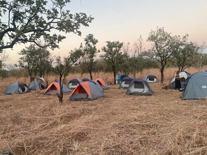 Safari crew setting up an authentic mobile camping tent in Kenya wilderness with African Affarble Expedition Limited