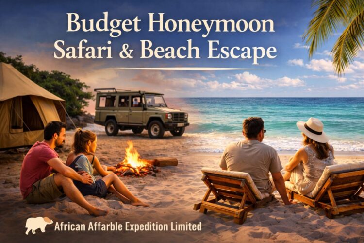 Budget Kenya Honeymoon Safari Packages & Beach Escape Budget Kenya honeymoon safari packages featuring camping safaris, beach relaxation, and unforgettable romantic experiences