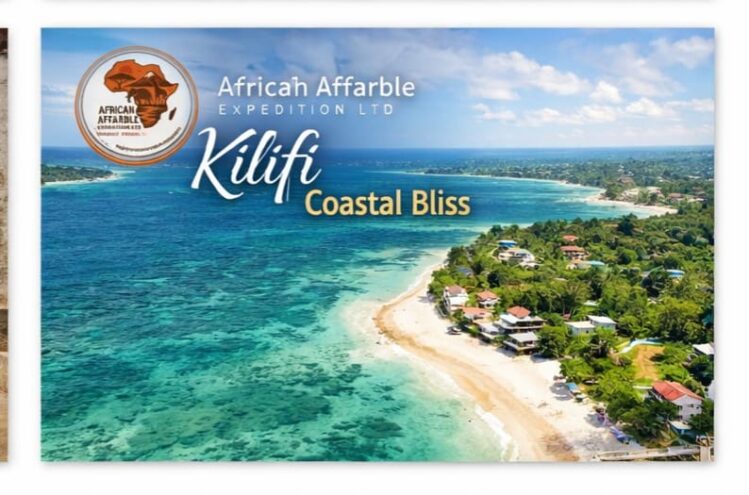 Malindi and Kilifi coastal bliss holiday package by African Affarble Expedition Limited featuring pristine beaches and turquoise waters